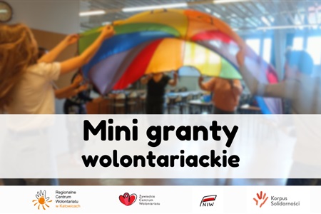 Konkurs na mini granty wolontariackie 